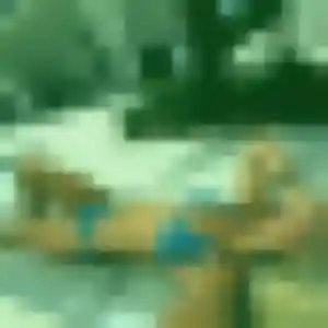 Fatoumata, 43 ans, dispo pour plan cul à Saint-Cassien