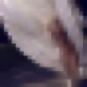 plan cul à Saint-Cast-le-Guildo : photo de Lou, 32 ans - sans engagement