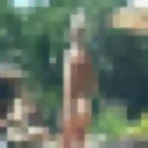 Photo de Mawusi à Saint-Cernin-de-Larche (34 ans) - plan cul sans inscription