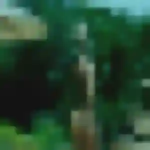 Hawa, 44 ans, connectée à Saint-Christophe-du-Ligneron pour une rencontre coquine