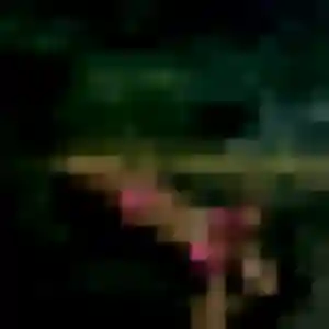 Photo perso de Afia, 23 ans à Saint-Cyr-sur-Mer - rencontre sans lendemain