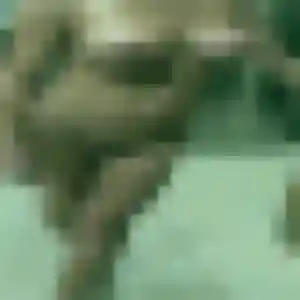 Charmante Funke, 28 ans à Saint-Denis - la contacter