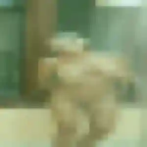 Photo sexy de Emilie, 30 ans à Saint-Denis-d'Anjou - rencontre coquine