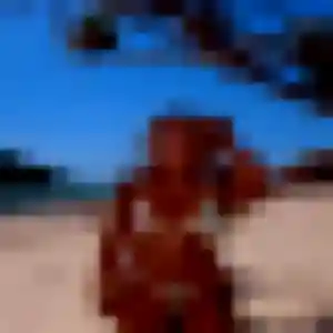 Photo sexy de Wambui, 32 ans à Saint-Denis-sur-Scie - plan discret