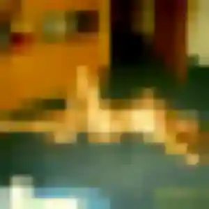 Photo perso de Saffie, 27 ans à Saint-Donan - rencontre coquine