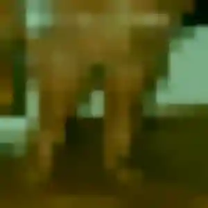 Chiamaka, 35 ans, disponible à Saint-Drézéry pour une rencontre coquine