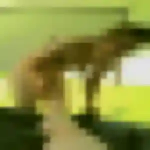 Belle Yaa, 33 ans à Saint-Étienne-des-Oullières - la contacter