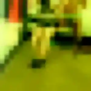 Dieynaba, femme de 43 ans veut plan cul à Saint-Genix-les-Villages