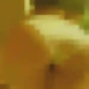 Rencontre Claudine, 26 ans à Saint-Girons en privé
