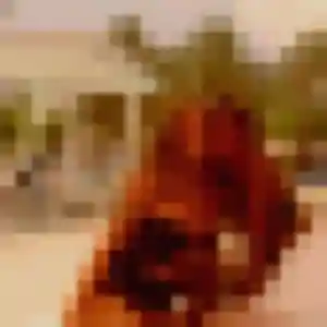 Madeleine, 29 ans, disponible à Saint-Guyomard pour une rencontre coquine