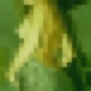Profil de Kimberley à Saint-Hilaire-de-Riez (44 ans) - plan cul anonyme