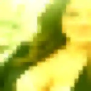 Ludivine de Saint-Hilaire-lez-Cambrai, 35 ans - plan cul sans lendemain