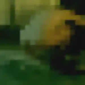 Photo exclusive de Peace, 42 ans à Saint-Jean-le-Vieux - plan discret