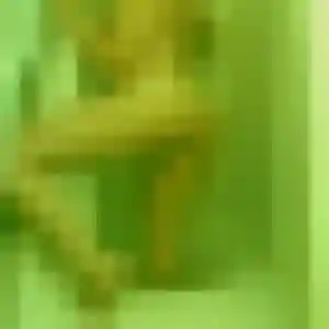 Jamila, 28 ans, dispo pour plan cul à Saint-Joseph