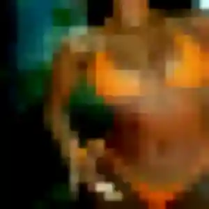Salomé, 45 ans, dispo pour plan cul à Saint-Julien-Molin-Molette