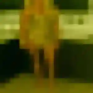 Profil de Morenike à Saint-Laurent-en-Caux (25 ans) - plan cul anonyme