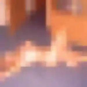 Photo exclusive de Latifa, 41 ans à Saint-Laurs - rencontre sans lendemain
