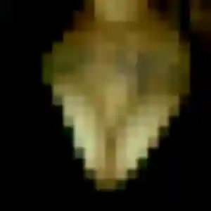Profil de Salomé à Saint-Martin-d'Ablois (29 ans) - plan cul gratuit