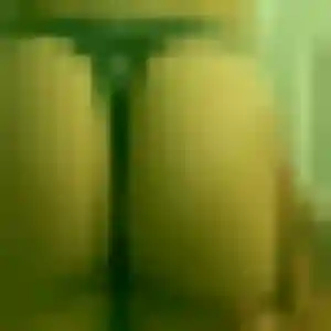 Yasmine, 25 ans, en ligne à Saint-Martin-d'Ablois pour une rencontre coquine