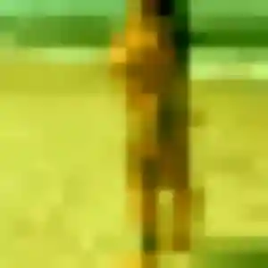 Sexy Rokhaya, 38 ans à Saint-Martin-d'Aubigny - la contacter