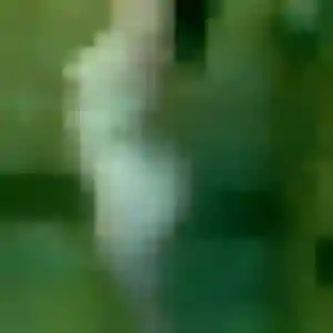 Roxane, 26 ans, en ligne à Saint-Martin-du-Tertre pour une rencontre coquine