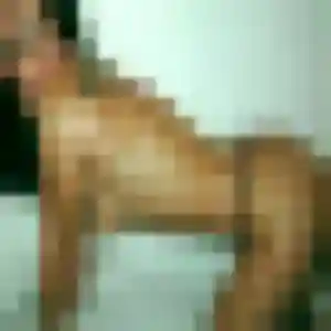 Profil de Yaa à Saint-Maurice-de-Rémens (32 ans) - plan cul anonyme