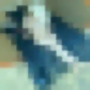 Sira, 45 ans, en ligne à Saint-Ours pour une rencontre coquine