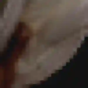 Sexy Titi, 23 ans à Saint-Pierre-de-Varengeville - découvrir son profil
