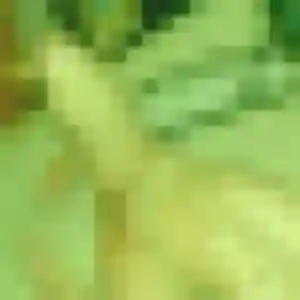 Maguette, 41 ans, en ligne à Saint-Pierre-du-Regard pour un plan cul