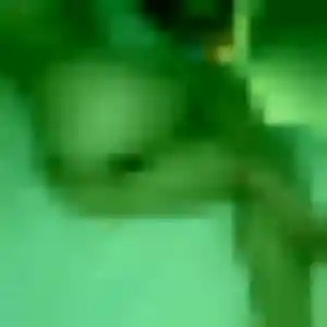 Photo privée de Toyin, 32 ans à Saint-Pol-de-Léon - rencontre coquine