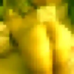 Profil de Kelly à Saint-Rémy (40 ans) - plan cul discret
