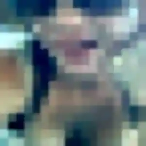 Laetitia, 22 ans, connectée à Saint-Romain-en-Viennois pour une rencontre coquine