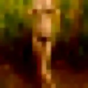 Zoé, fille de 43 ans cherche plan cul à Saint-Romain-le-Puy