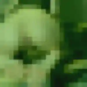 Sexy Sarah, 23 ans à Saint-Savin - découvrir son profil