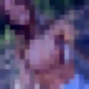 Photo privée de Djamilatou, 43 ans à Saint-Sever - plan discret