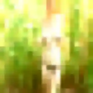 Yasmina, fille de 28 ans veut plan cul à Saint-Thual