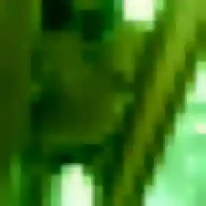 Photo perso de Nassira, 36 ans à Saint-Vincent-de-Barbeyrargues - rencontre coquine