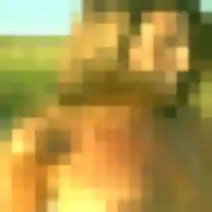 Photo sexy de Jennifer, 42 ans à Saint-Vite - rencontre sans lendemain