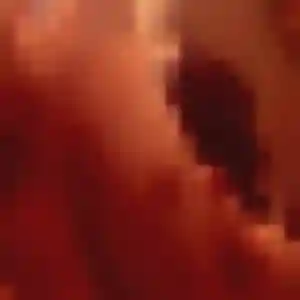 Photo de Paulette à Saint-Vulbas (43 ans) - plan cul anonyme