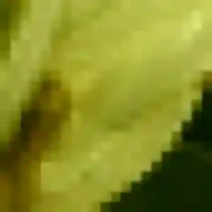 Yaa de Saint-Yon, 32 ans - plan cul discret