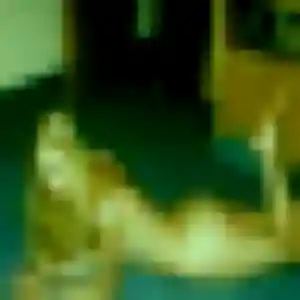 Profil de Ndèye à Sainte-Anne (43 ans) - plan cul discret