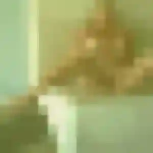 Photo sexy de Sonia, 38 ans à Sainte-Austreberthe - plan discret