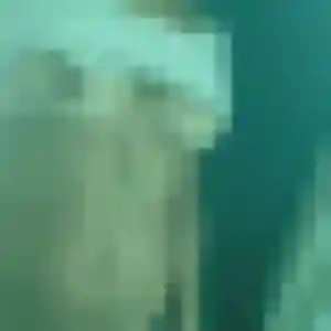 Mireille, 33 ans, cherche un plan cul à Sainte-Feyre