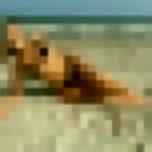 Photo de Nadia à Sainte-Mère-Église (25 ans) - plan cul anonyme