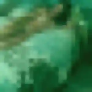 Photo de Sarjo à Sainte-Néomaye (42 ans) - plan cul gratuit