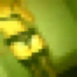 Profil de Adeola à Sainte-Radegonde (22 ans) - plan cul gratuit