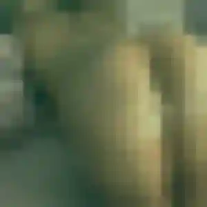 Photo de Ngoné à Sainte-Scolasse-sur-Sarthe (22 ans) - plan cul discret