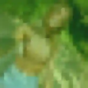 Sexy Amara, 31 ans à Salles-Curan - découvrir son profil