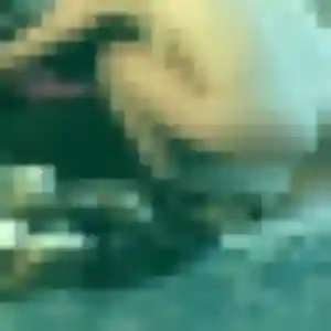 Ablavi, 45 ans, dispo pour plan cul à Salornay-sur-Guye