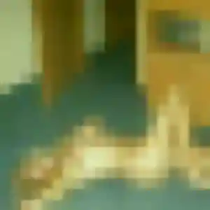 Photo de Latifa à Sanary-sur-Mer (38 ans) - plan cul discret